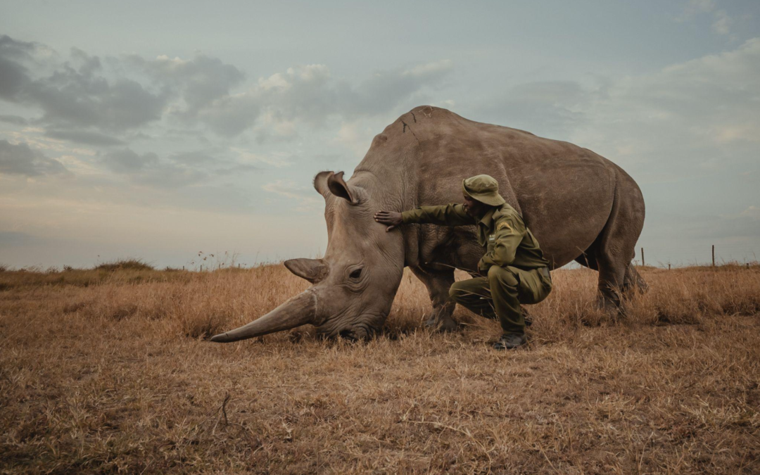 Photographer Mital Patel captures coexistence and conservation across the world’s most remote and fragile ecosystems in several new exhibitions across the US this fall